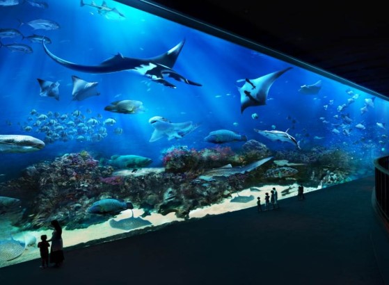 best places to visit in bangkok for first-timers
